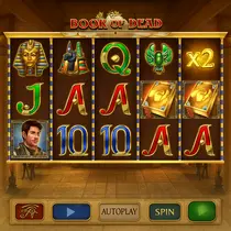 Millioner - Book of Dead Slot Game - Play'n GO